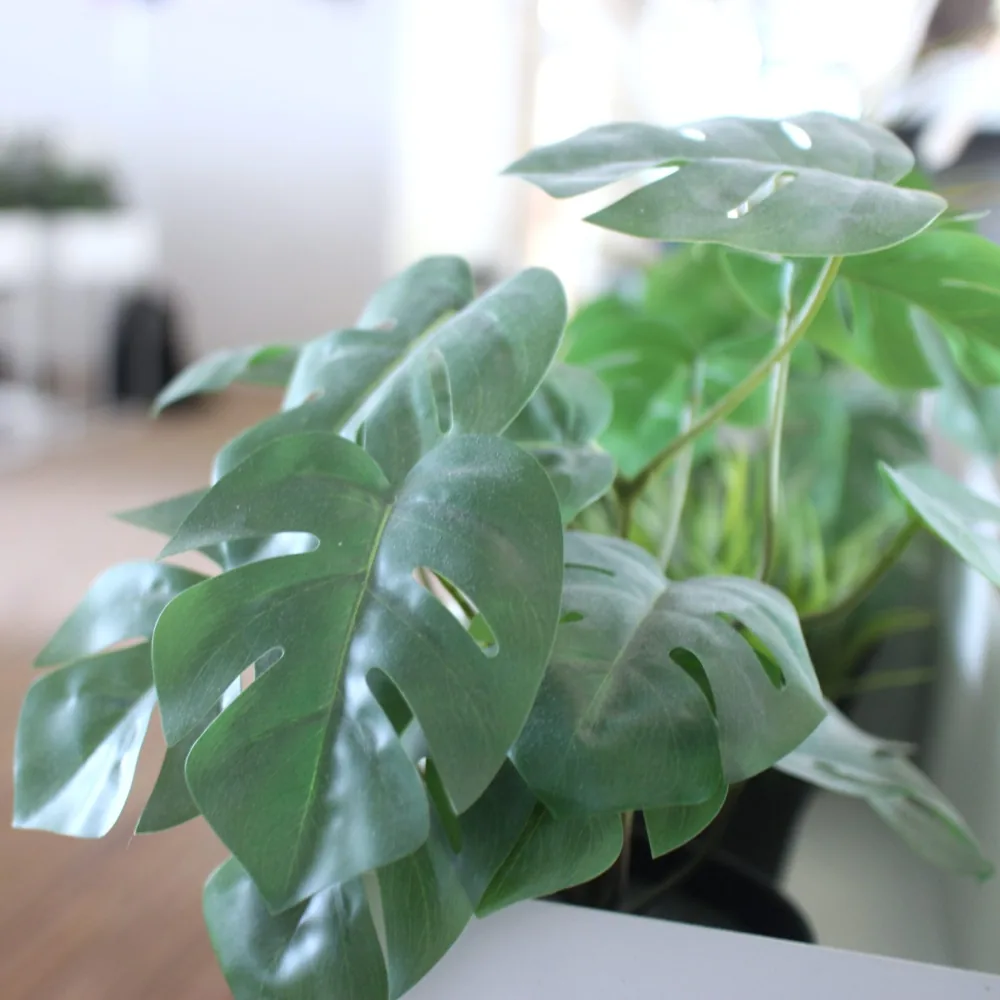Plantes vertes dans l'open space